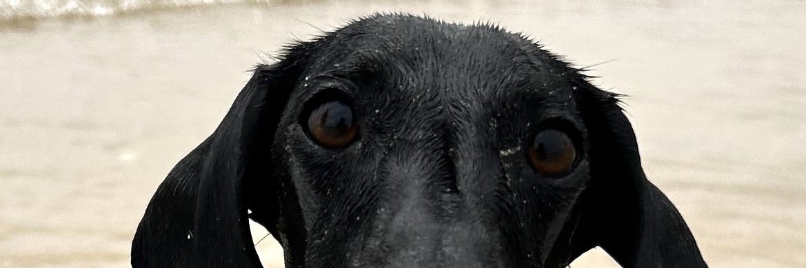 ßoby banner