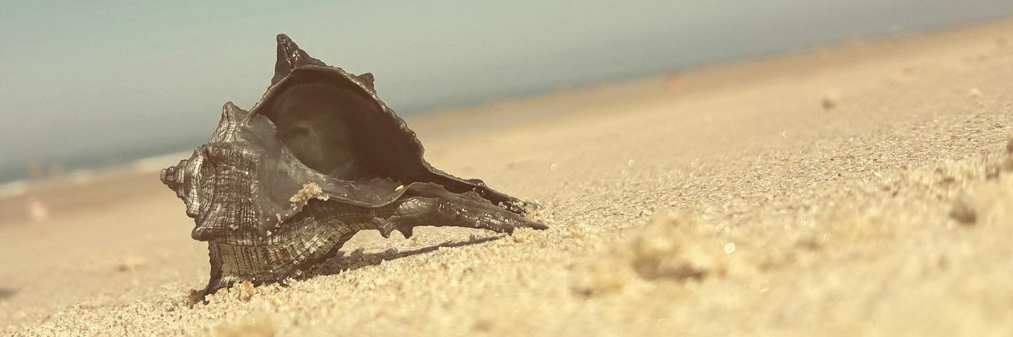JesuliBozo's profile banner image