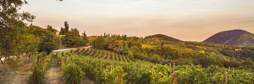 Parco Colli Euganei banner