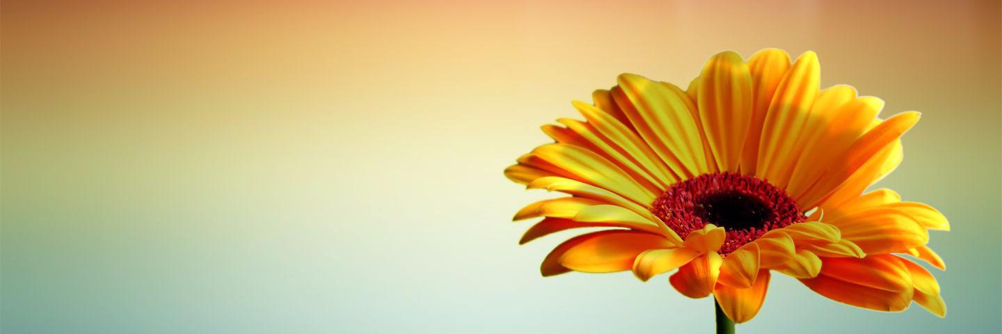 ahmdressa's profile banner image