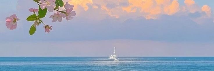 cyry56's profile banner image