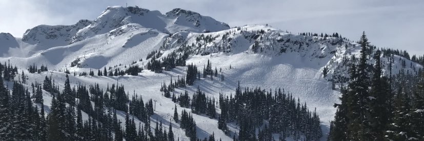 ScottAmerica's profile banner image