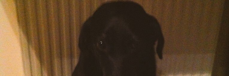 Nich8's profile banner image