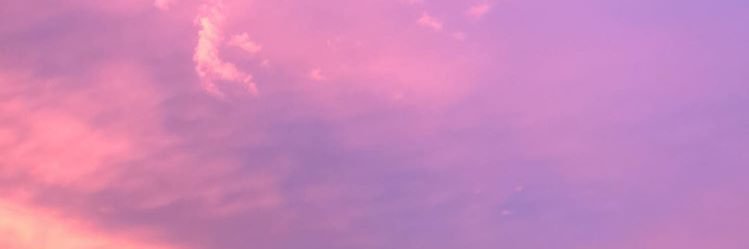 kylasaflor's profile banner image