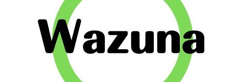 Dotoru29's profile banner image