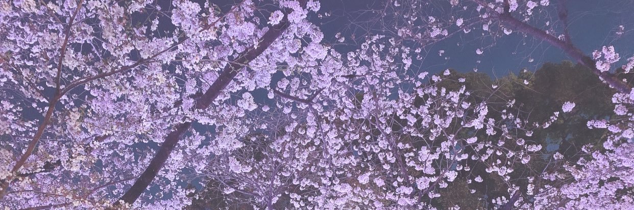 tmm5926's profile banner image