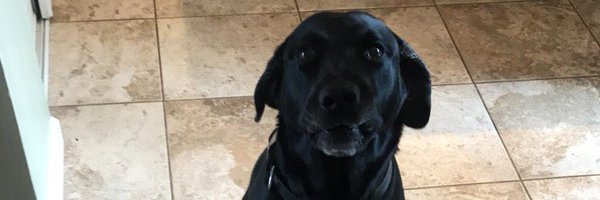 blainemccrum Profile Banner