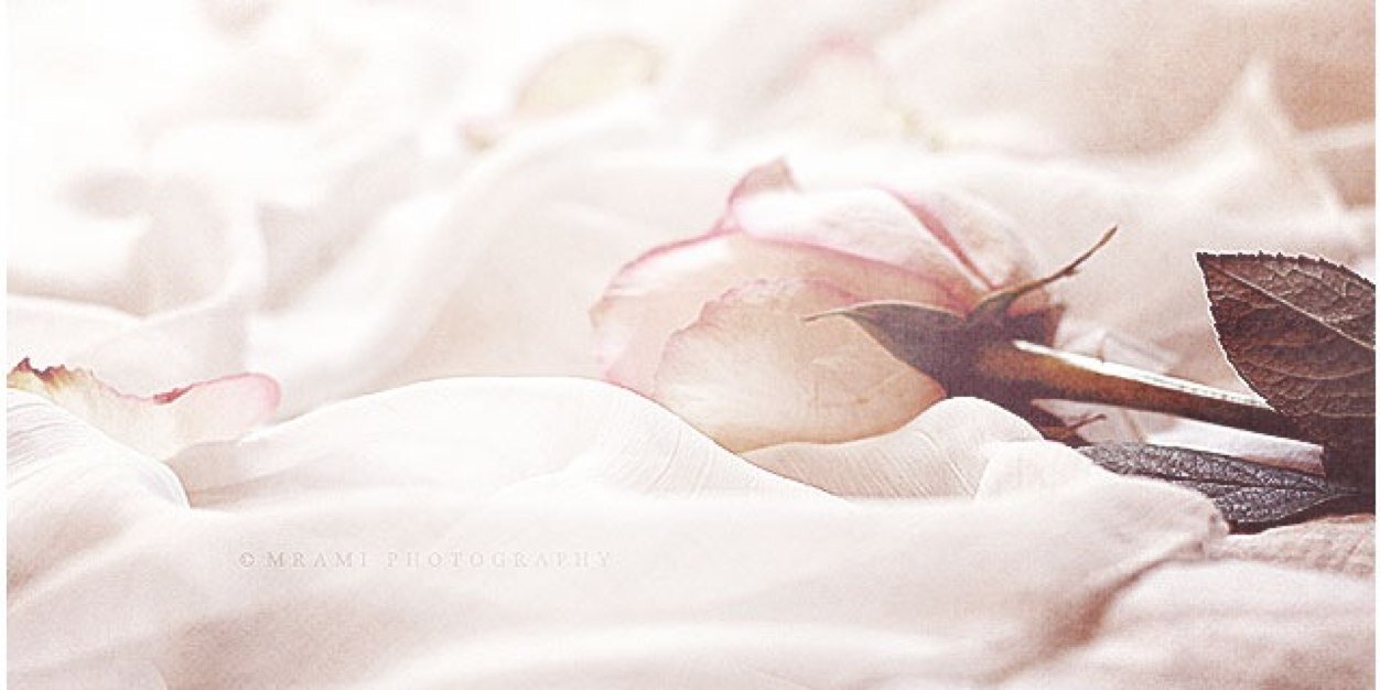 munak94's profile banner image
