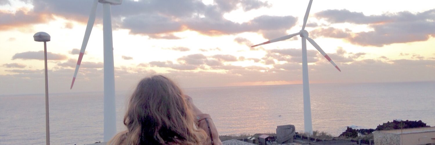 EuropeBird's profile banner image