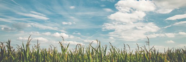 leighmcaldwell Profile Banner