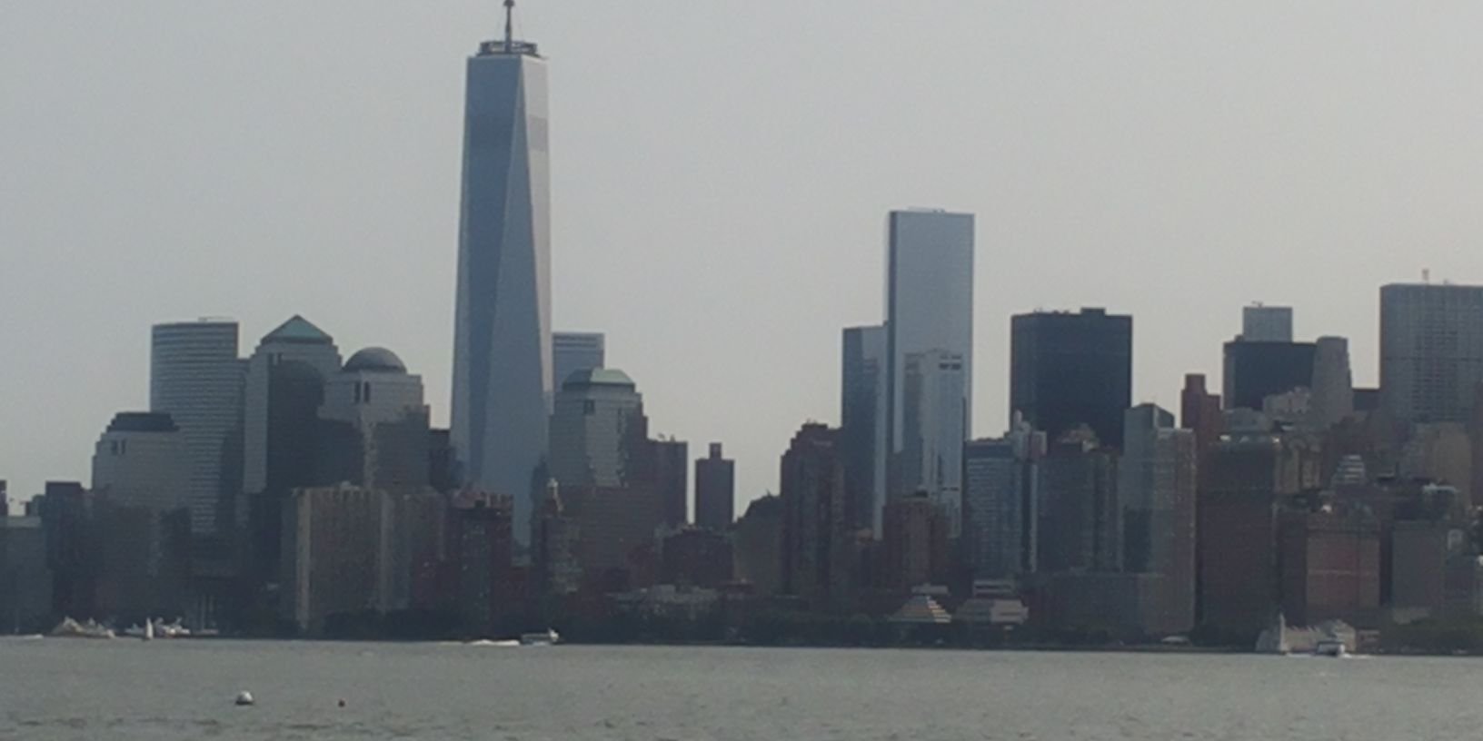 Petra de Vries banner