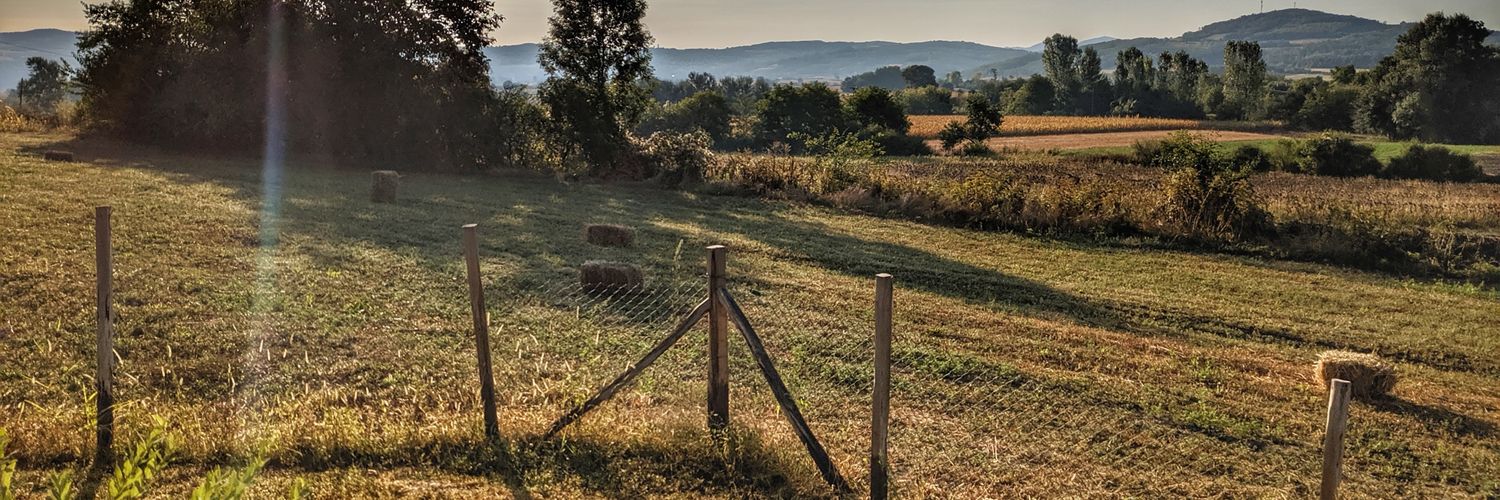 marence666's profile banner image