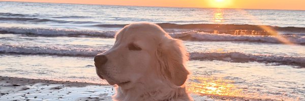 pcinthe365 Profile Banner