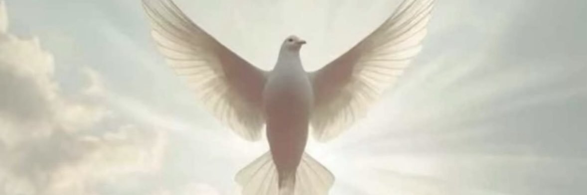 mrujnuzha's profile banner image