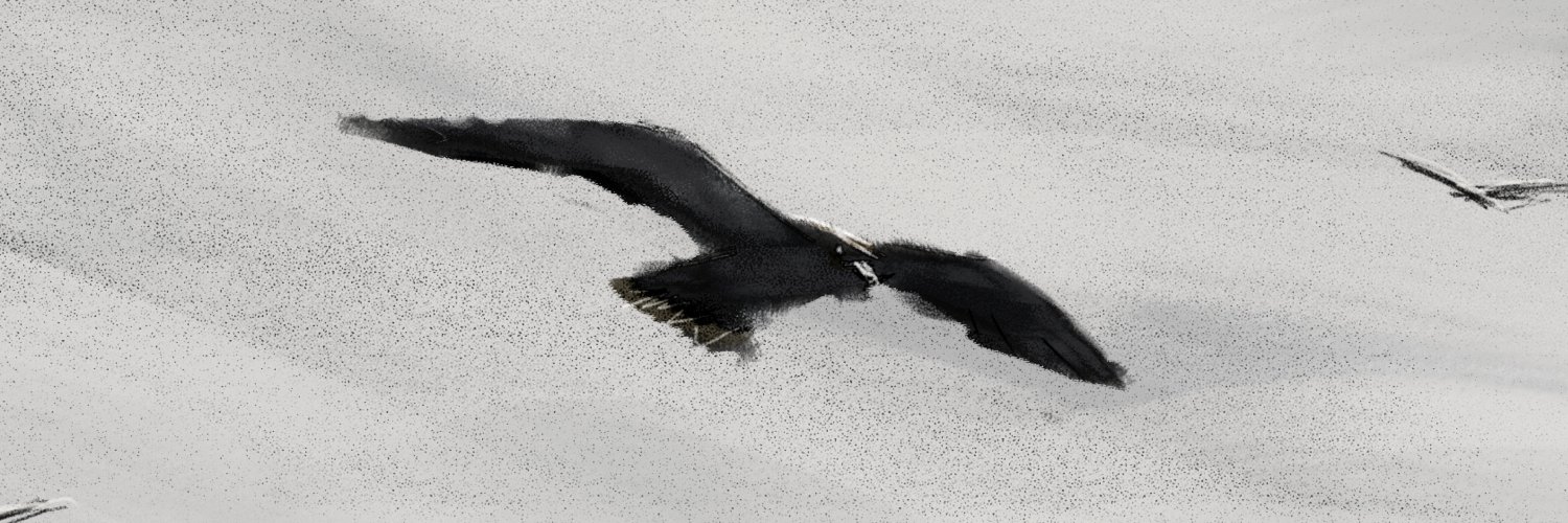 AdriVessichelli's profile banner image