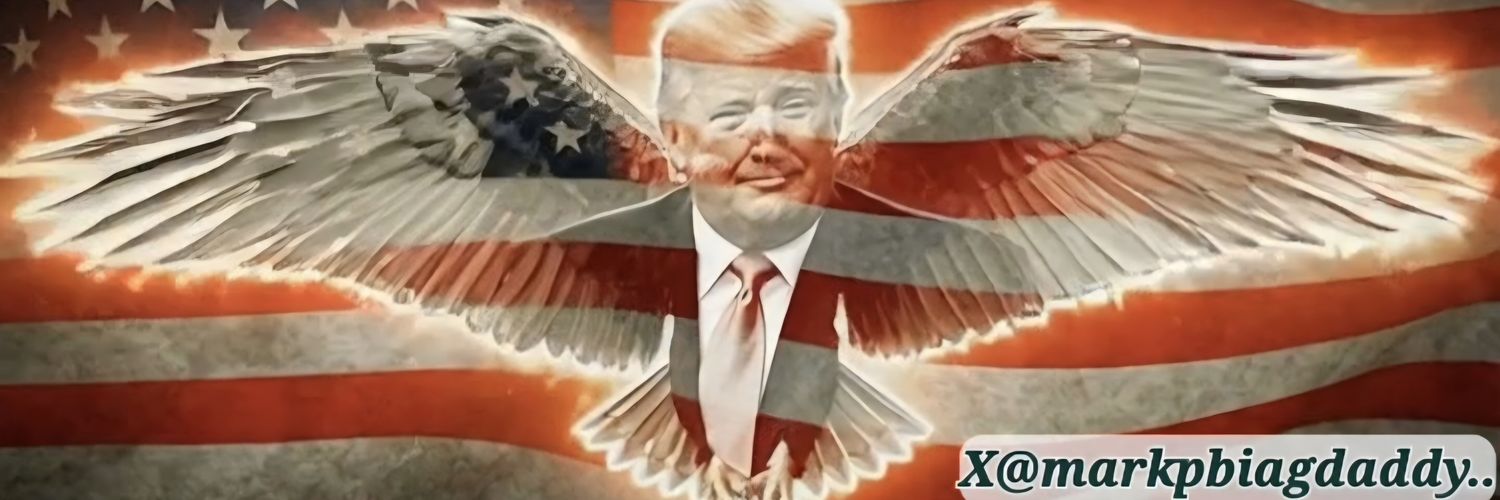 USADefcon5's profile banner image