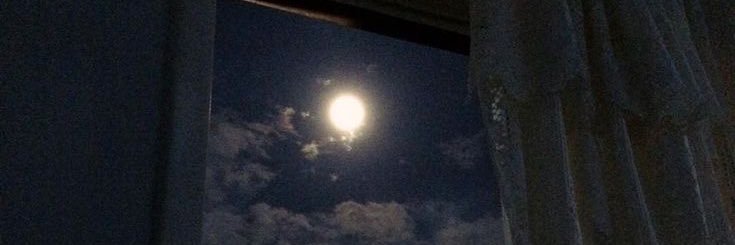 toota7ala's profile banner image