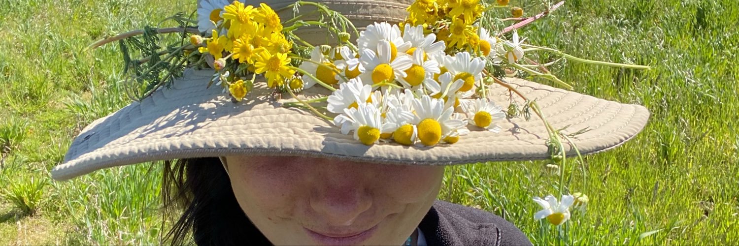 CamiEstruch's profile banner image