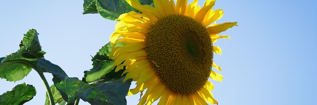 stephfrench_com's profile banner image