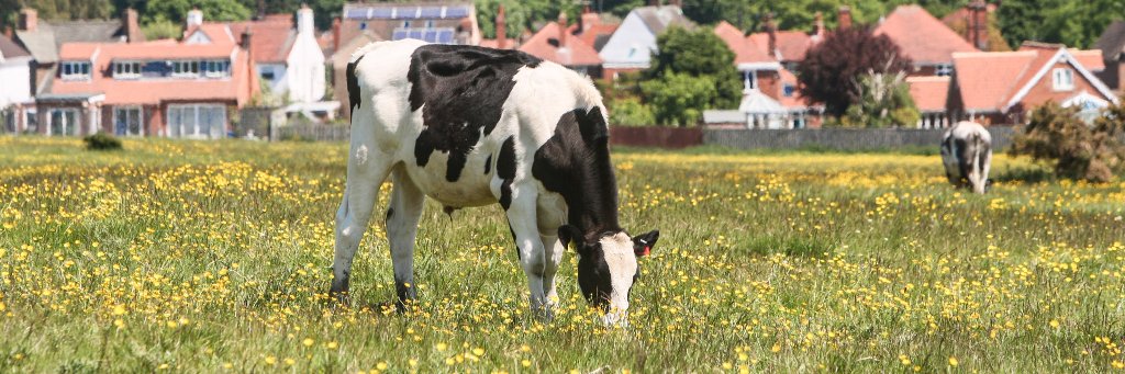 Visit Beverley banner