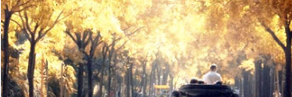 angelterraza's profile banner image