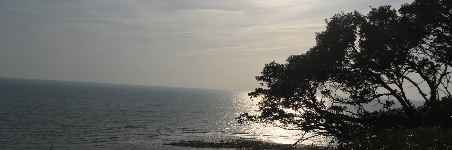 Samantha Wattam 💜 banner