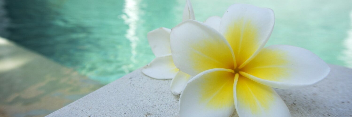 吾妻 banner
