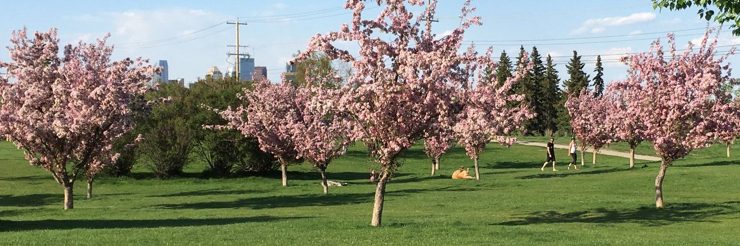 RiverParkDogs's profile banner image