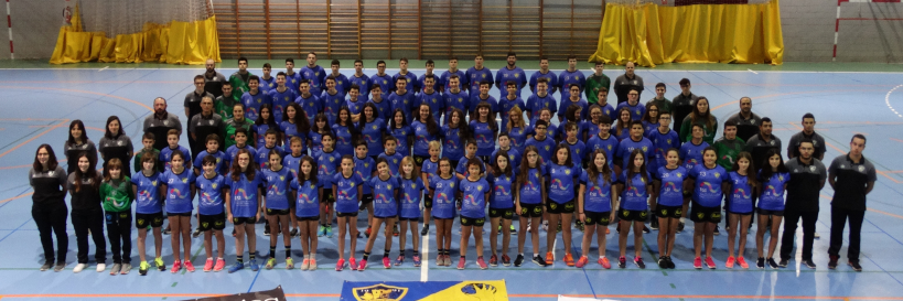 Club Balonmano Bullense banner