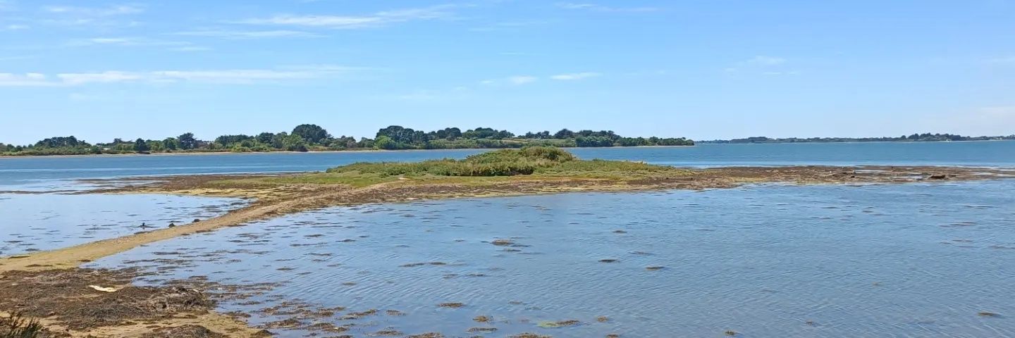 Carole Crayou banner