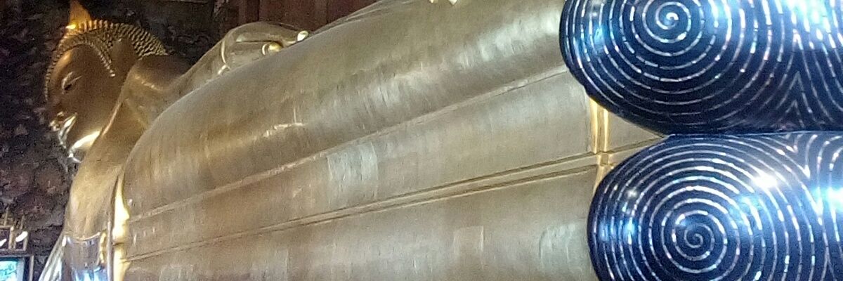 Small02829143's profile banner image