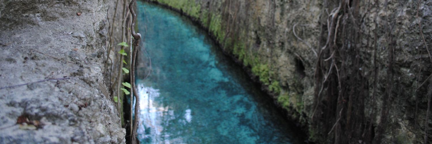 nahuprich's profile banner image