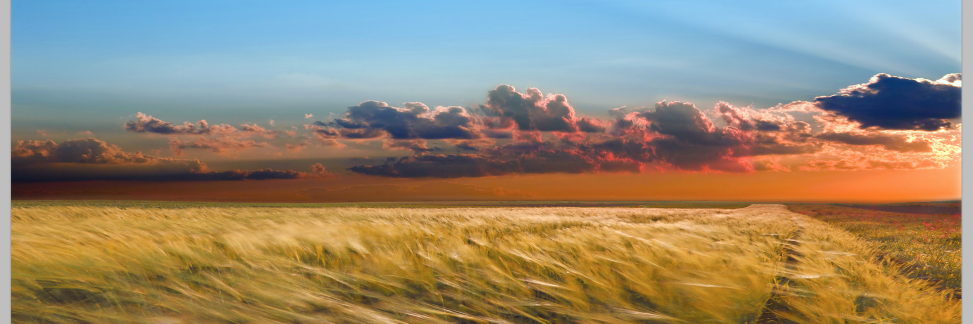 stewski's profile banner image