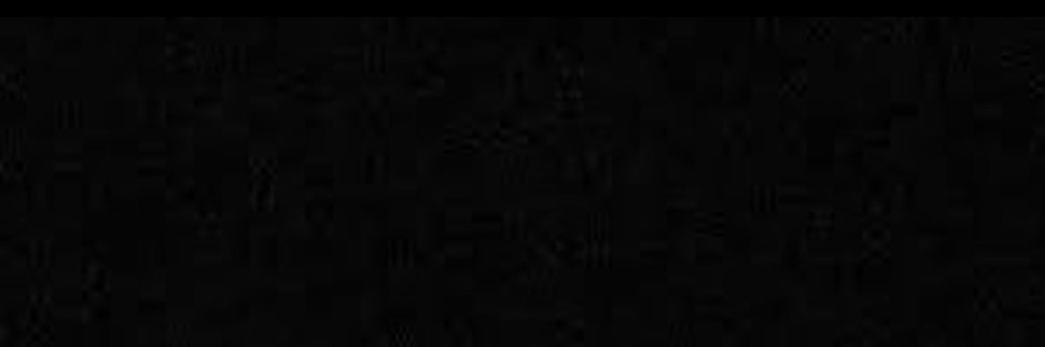 Turquoise Cat banner