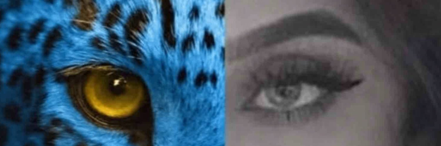 Turquoise Cat banner