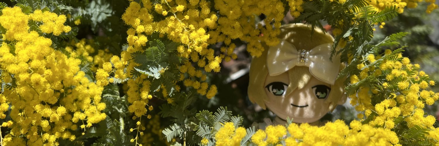 miyase_up's profile banner image