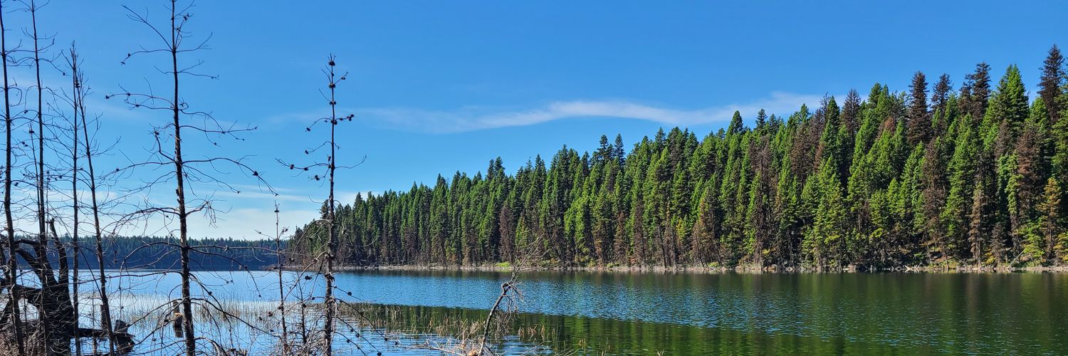LanceKehler's profile banner image