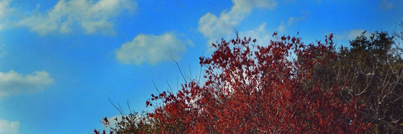 CarterGordonIns's profile banner image