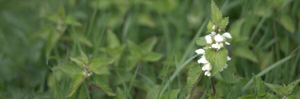 CallStack Profile Banner