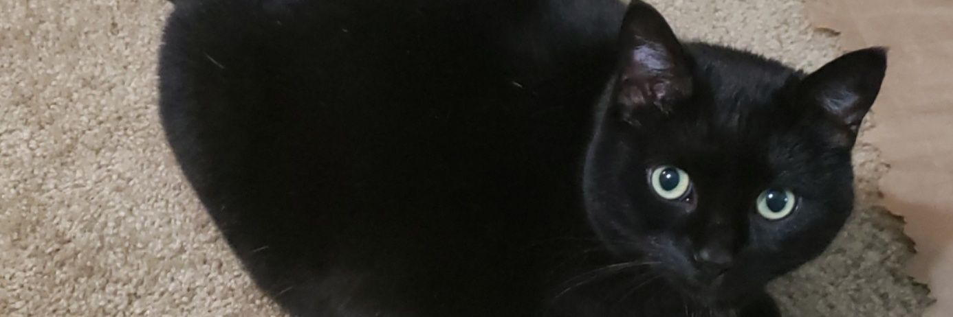 momtanaskye's profile banner image