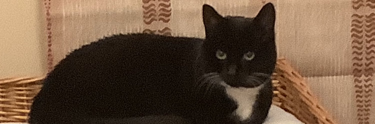 bert1409's profile banner image