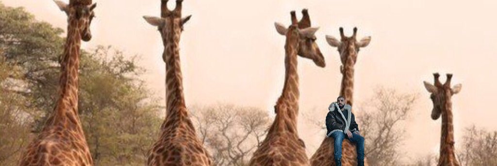 btbaddie's profile banner image
