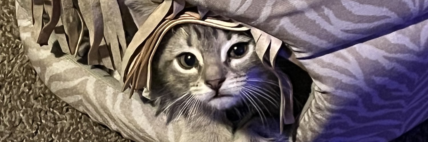 PrestonSTYG's profile banner image