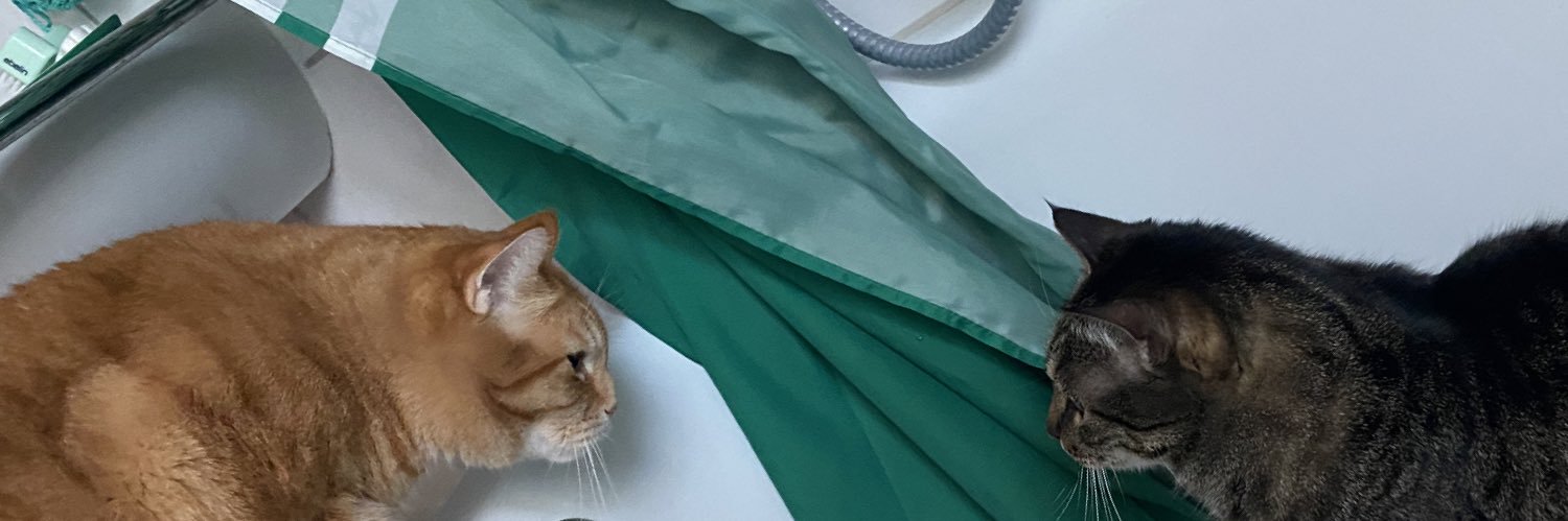 mrgex's profile banner image