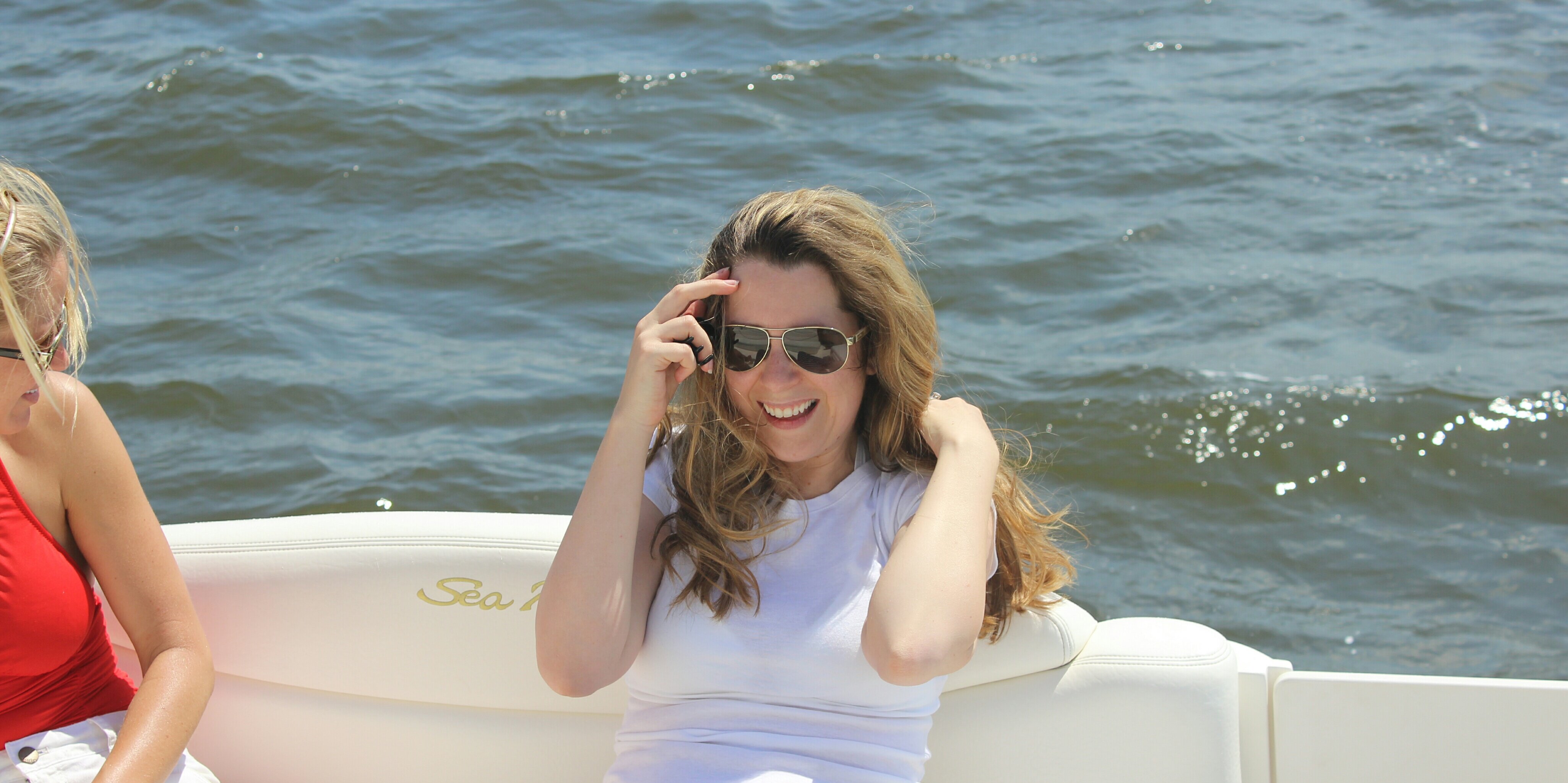 Diane Rinaldo banner