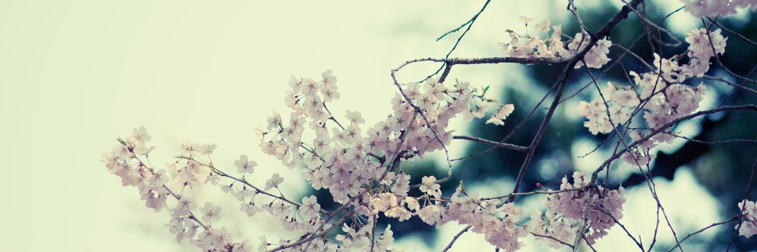 Uklyaa's profile banner image