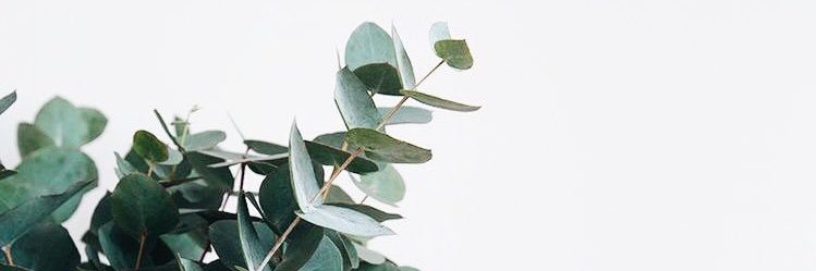 ryleeshell's profile banner image