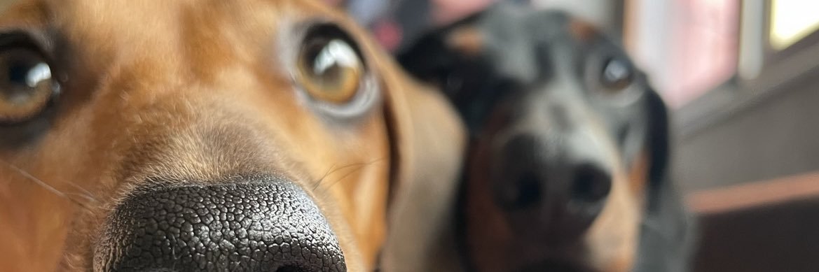 Vanee_it's profile banner image