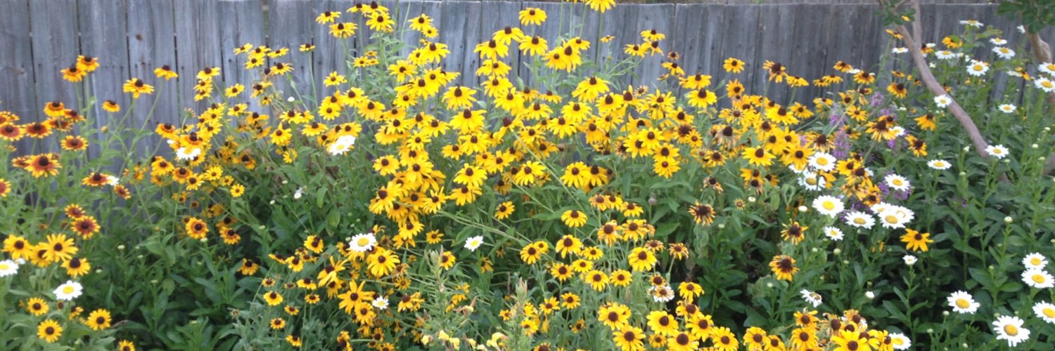 BettyBaxter85's profile banner image