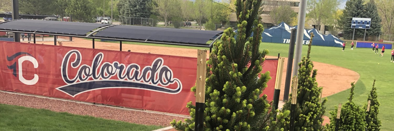 Alyson Carter banner